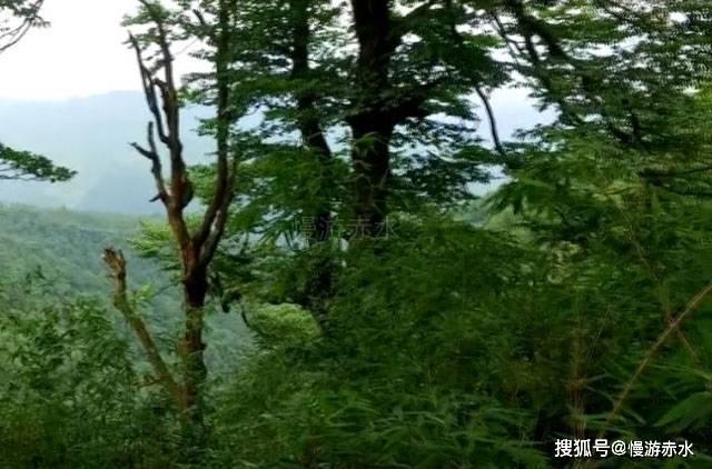 探索光物理学